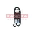 1x Keilrippenriemen KAMOKA 7016119 passend für BMW MAN HYUNDAI KIA