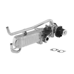 1x AGR-Modul BorgWarner (Wahler) 710862D passend für AUDI SEAT SKODA VW