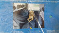 Auto Schutzdecke Autoschondecke Hund Rücksitz Kofferraum Hundedecke 145 x 150 cm