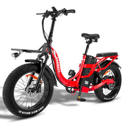 FAFREES F20 X-Max 20 Zoll Elektrofahrrad Klapprad 750W eBike 48V 30Ah E Citybike