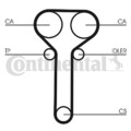 CONTINENTAL CTAM (CT978WP1) Wasserpumpe+Zahnriemensatz für FORD