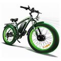 26 Zoll 2000W Elektrofahrrad Mountainbike 48V 20AH MTB Fatbike Offroad E-Bike