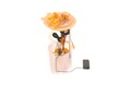 BOSCH Kraftstoff-Fördereinheit Kraftstoffpumpe Spritpumpe Rechts 0580204030