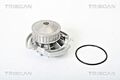 TRISCAN Wasserpumpe Für VW AUDI Derby Golf Mk1 Mk2 Jetta I II Mk Polo 052121005