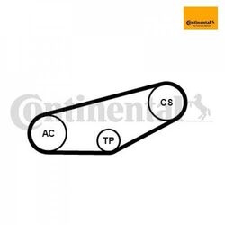 Keilrippenriemensatz CONTINENTAL CTAM 4PK855K1 für Audi A4