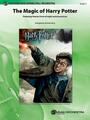 Die Magie von Harry Potter: Mit Themen aus allen acht Filmen, Zustand