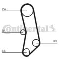 CONTINENTAL CTAM Wasserpumpe + Zahnriemensatz  u.a. für AUTOBIANCHI, FIAT