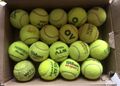 18 Tennisbälle Markenmix Spiel Ball Katzen Hunde Kinder Fanproteste Spielzeug