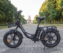 ENGWE L20 Elektrofahrrad 20 Zoll E-Bike 250W 13AH Pedelec e Citybike 25km/h