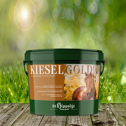 Kieselgold 4 kg - Kieselgur-Granulat für Fell und Hufe