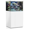 ***TOP Meerwasser Aquarium*** AQUA MEDIC AMARTUS 300XD