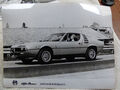 ALFA Romeo Montreal Pressefoto ~24x18cm 1970er Jahre Bertone