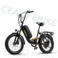 Ebike 20 Zoll Elektrofahrrad E Mountainbike Fatbike Shimano 25km/h Pedelec 750W