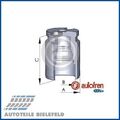 NEU - AUTOFREN SEINSA D02594 Kolben, Bremssattel für BMW HONDA HYUNDAI KIA