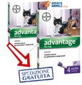 Bayer Advantage 80 MG für Katzen Über 4 KG - 4 Pipetten - Selbst für Kaninchen