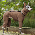 Hundemantel Winter Warmer Fleece Rollkragenpullover Whippet Greyhound Pullover