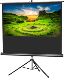 celexon mobile Business und Heimkino Stativ-Leinwand Eco Schwarz 219x123cm 16:9Keystonebügel-blitzschneller Aufbau-höhenverstellbar