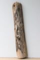 Treibholz Schwemmholz Driftwood 1 XXL Skulptur Terrarium Dekoration Garten 78 cm