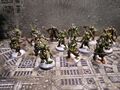 14x Poxwalker Nurgle Warhammer 40k 