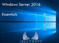 Microsoft Windows Server 2016 Essentials ✔ Bis 25 User ✔ Vollversion ✔