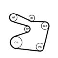 Continental Ctam Keilrippenriemensatz 6Pk1555K1 für BMW E36 E34 E39 E38 95-98