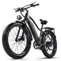 eBike 26 Zoll E Mountainbike 1000W Elektrofahrrad 48V 20AH Moped ebike 45km/h