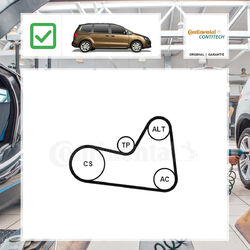 Keilrippenriemensatz Continental Ctam für Seat Alhambra 710, 711  2.0 TDI