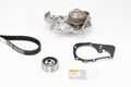 Continental Ctam Wasserpumpe + Zahnriemen Satz für Renault 2008-2009 Ct988Wp2