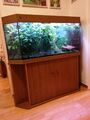 aquarium Mit  Unterschrank Von Juwel ,180liter,kundenauftrag Brbgörden054761349