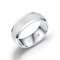 Bandring Titanium Silberfarben Goldfarben Schwarz Mattiert Poliert Damen Herren