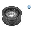 Meyle 100 009 0003 Spannrolle Keilrippenriemen für VW FORD SEAT SHARAN PASSAT