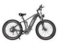 26 Zoll Elektrofahrrad Snow eBike 750W 20Ah Fettreifen E-Mountainbike 25km/h Neu