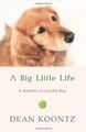 A Big Little Life by Koontz, Dean 0007336829 FREE Shipping