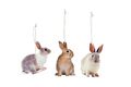 3x Hänger Hase Deko Set 5x9cm Ostern Holz Foto Neu 3 verschiedene HOME KONTOR