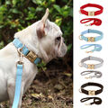 Personalisierte Hundehalsband Mit Leine Wunschgravur Name ID Nylonhalsband S-L