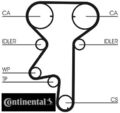 Continental CTAM CT975WP2 Wasserpumpe + Zahnriemensatz Zahnriemensatz 