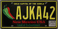 New Mexico USA Nummernschild auto-kennzeichen schild US License Plate [AJ KA 42]