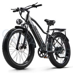 1000W Elektrofahrrad 48V 20Ah Akku E-Mountainbike 26 Zoll Fat Tyre E-Bike Moped