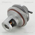 AGR Ventil TRISCAN 8813 23017 für MERCEDES SMART KLASSE W169 Sports Tourer W245