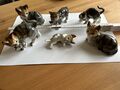 katzen porzellan figuren 6 Stk. Set1