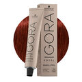 Schwarzkopf Igora Royal Absolutes 6-80 Naturrot Dunkelblond 60ml