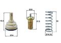 MAHLE ORIGINAL TX 181 95D Kühlwasserthermostat für VW GOLF VI (5K1) TIGUAN (5N)