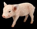 Schweine Figur - Kleines Schweinchen - Ferkel Dekofigur Gartenfigur 13,5cm