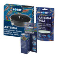 Set zur Artemia Aufzucht: Aufzuchtschale + 20 ml Eier + 195g Salz Nauplien