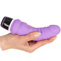 Natur Vibrator realistsich Dildo Sexspielzeug Klitoris Vagina Anal Plug G-Punkt