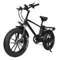 Elektrofahrrad 20 Zoll 750W E-bike E Mountainbike Fatbike 45km/h Pedelec Fahrrad