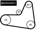 Continental CTAM 6PK1045K2 Keilrippenriemensatz Keilriemen Satz 