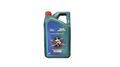 Castrol Ford MAGNATEC Professional A5 5W-30 ACEA A5/B5, 5 Liter