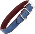 Schnüffelfreunde Hundehalsband aus Leder - Fun-Line - Blau-Rot