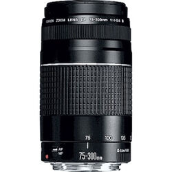 Canon EF DC 4,0-5,6/75-300 III 6473A015 Zoom-Objektiv